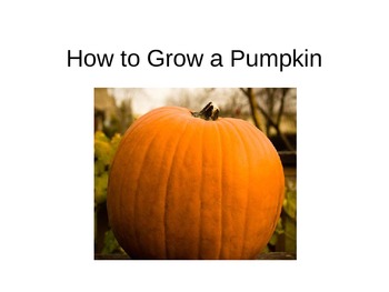 Preview of How to Grow a Pumpkin