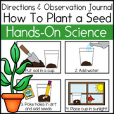How to Plant a Seed Directions for Science Sequence Activi