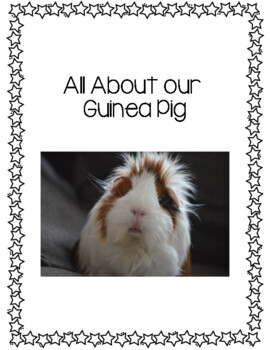 Guinea Pigs and Kids: Home and Classroom Pets