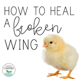 How to Heal a Broken Wing Close Reading Activities