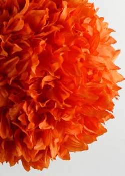 Preview of How to Make Mexican Paper Marigolds (Day of the Dead, Halloween, Cinco de Mayo)