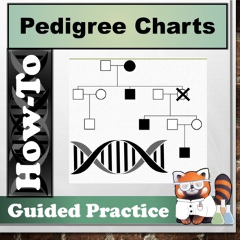 Preview of How to Make a Pedigree Chart