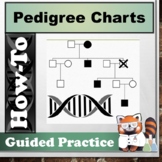 How to Make a Pedigree Chart