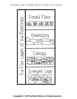 How to Make a Rainforest Diorama by Create Your Balance With Literacy