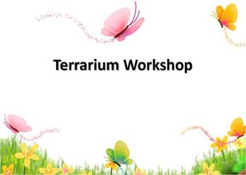 Preview of How to Make a Terrarium