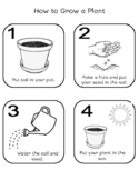 How to Plant a Seed