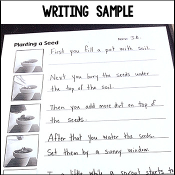 procedural writing how to plant a seed by the teaching