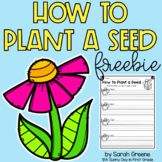 How to Plant a Seed