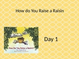 How to Raise a Raisin power point and interactive notebook