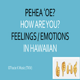 How to Express Your Feelings & Emotions in Hawaiian