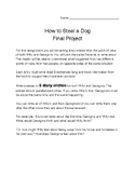 How to Steal a Dog Final Project