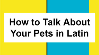 Preview of How to Talk About Your Pets in Latin Using the Verb Habeō
