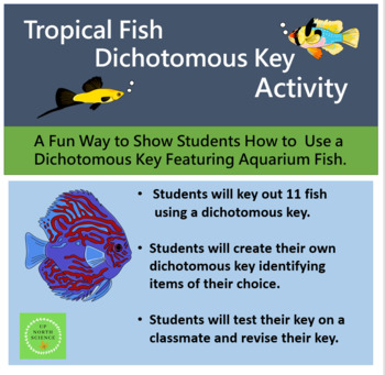 Preview of Tropical Fish Dichotomous Key Activity