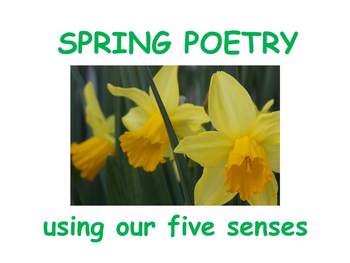 Preview of How to Write a Spring Poem Using Senses (power point /lesson plan) Age 7 - 11