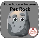 How to care for your pet rock