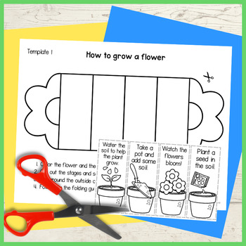How to grow a flower foldable sequencing activity DOLLAR DEAL | TPT