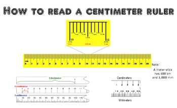 How to read an inch and centimeter ruler by IndyGreen | TpT