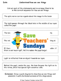 How We See Things Lesson Plan and Worksheet