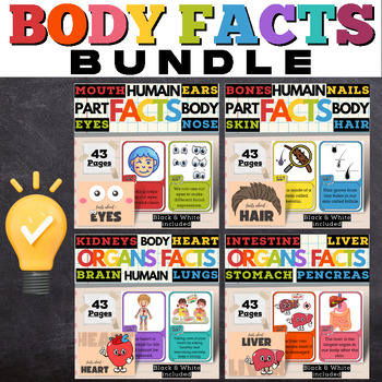 Preview of Humain Body Fact Cards Bundle : 4 groups of 16 Main Parts and Organs