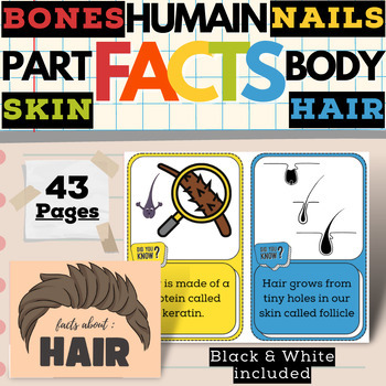Preview of Humain Body Fact Cards For Hair, Skin, Bones and Nails.
