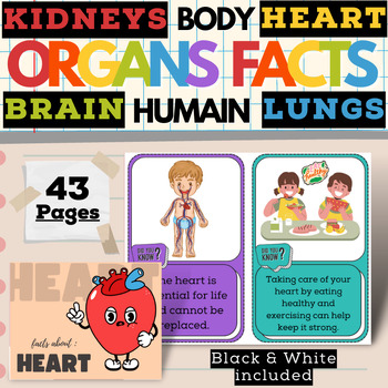 Preview of Humain Body Fact Cards For Heart, Kidneys, Lungs and Brain