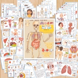 Human Anatomy BUNDLE - Systems, Organs, Parts of the Body 