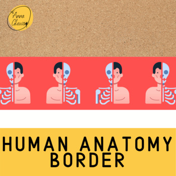 Preview of Human Anatomy Biology Science Printable Bulletin Board Border Classroom Decor