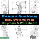 Human Anatomy: Body Systems Diagrams Pack