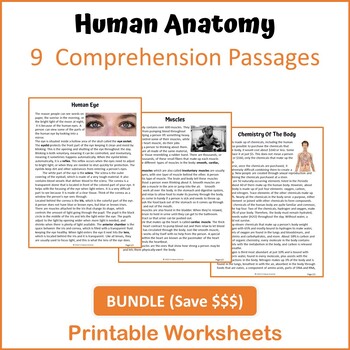 Preview of Human Anatomy Bundle Reading Comprehension - Printable Worksheets