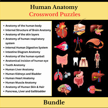 Preview of Human Anatomy Bundle | Science Vocabulary | Crossword Puzzles Worksheets