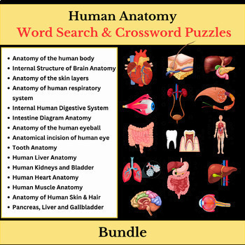 Preview of Human Anatomy Bundle | Word Search & Crossword Puzzles Worksheets