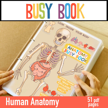 Preview of Human Anatomy Busy Book / Human Body Homeschool Toddler Activities
