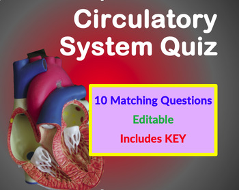 Preview of Human Anatomy: Cardiovascular System - Heart Diagram Quiz (EDITABLE)
