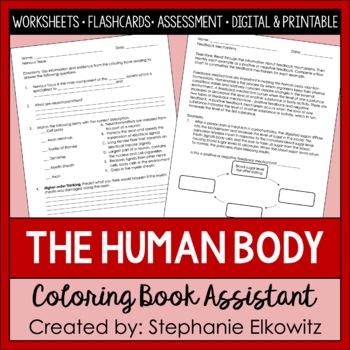 Preview of Human Body Systems Worksheets, Flashcards and Exam | Printable & Digital