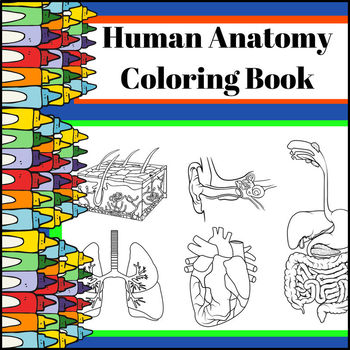 Human Anatomy Coloring Book by Creations by LAckert | TpT