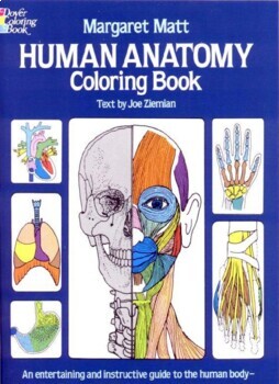 Download Human Body Coloring Worksheets Teaching Resources Tpt