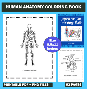 Preview of Human Anatomy Coloring Book: Instructive guide for The human body and Physiology