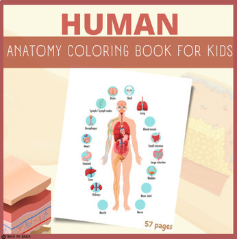 Preview of Human Anatomy Coloring Book for kids