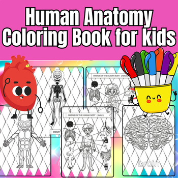Preview of Human Anatomy Coloring Book for kids, Human Body Learning for Kids