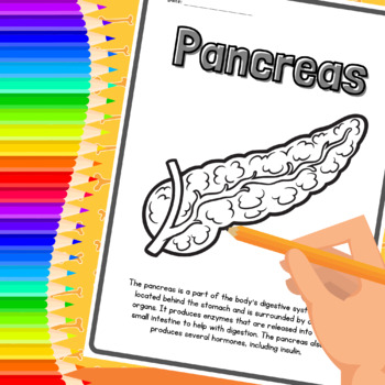 intestine coloring page