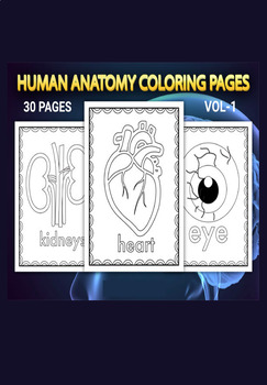 Preview of Human Anatomy Coloring Pages Vol-1