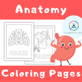 Human Anatomy Coloring Pages for Kids | Body Systems, Orga