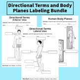 Human Anatomy: Directional Terms and Body Planes Labeling Bundle