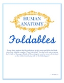 Human Anatomy Foldables Set - Includes Blank Set and Fille