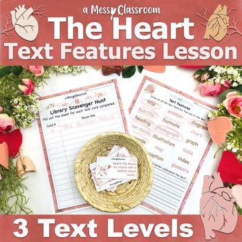 Preview of Human Anatomy Heart Nonfiction Text Features RI.2.5 2nd Grade Valentine’s Day