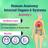 Human Anatomy - Internal Organs & Systems - Activity 1