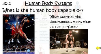 Preview of Human Anatomy Introduction and Nervous System