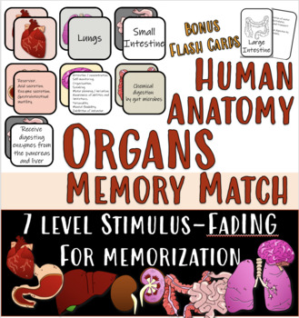 Preview of Human Anatomy Organs Memory Match- Any grade!
