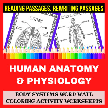 Preview of Human Anatomy & Physiology: Body Systems Word Wall Coloring Activity Worksheets