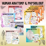 Human Anatomy & Physiology Curriculum - GROWING bundle!